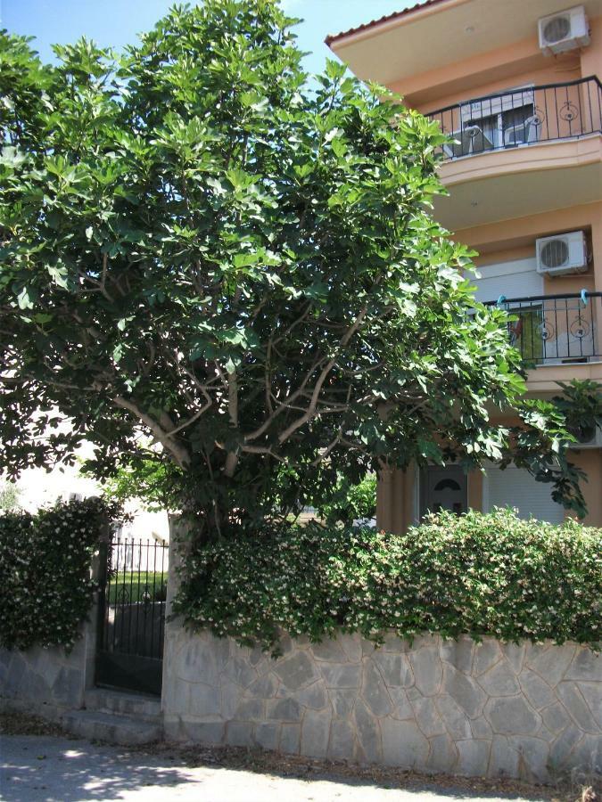 Apartmán Fani House Kallithea  Exteriér fotografie